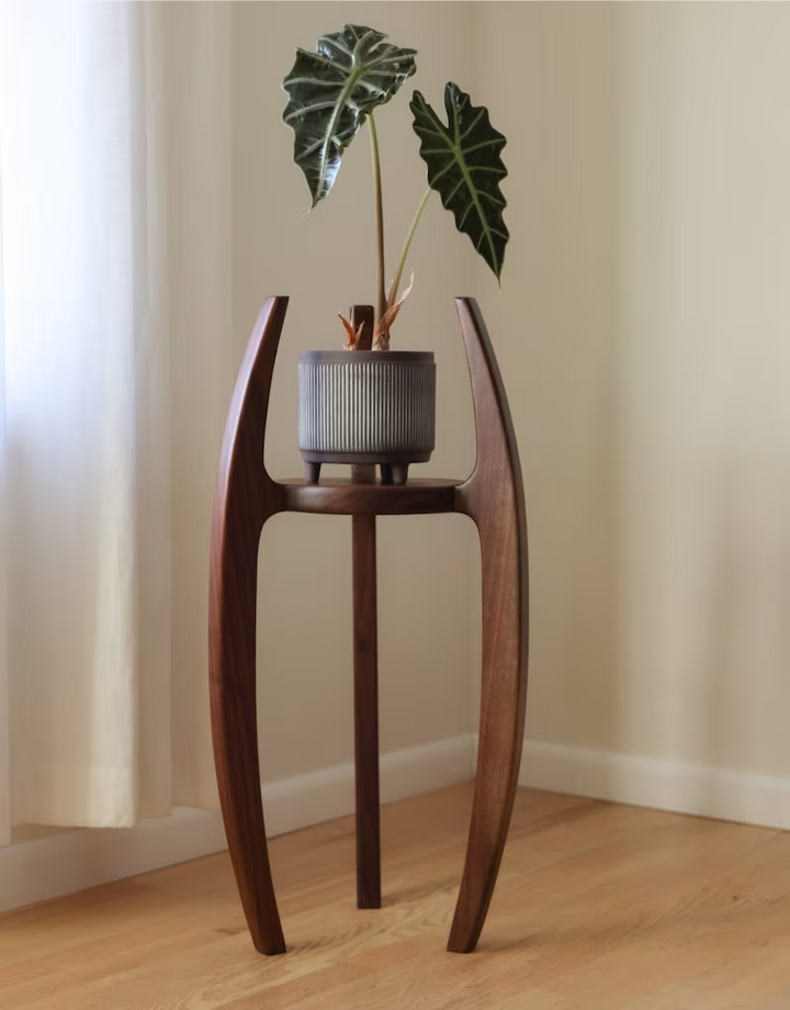 Natural Wood [Imported Teak] Plant Stand